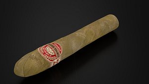 Cagar 3D model