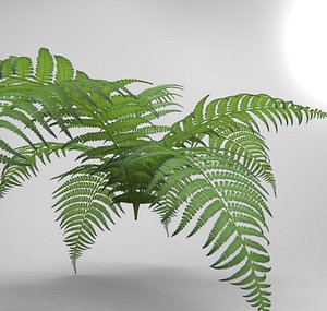 bracken 3d obj