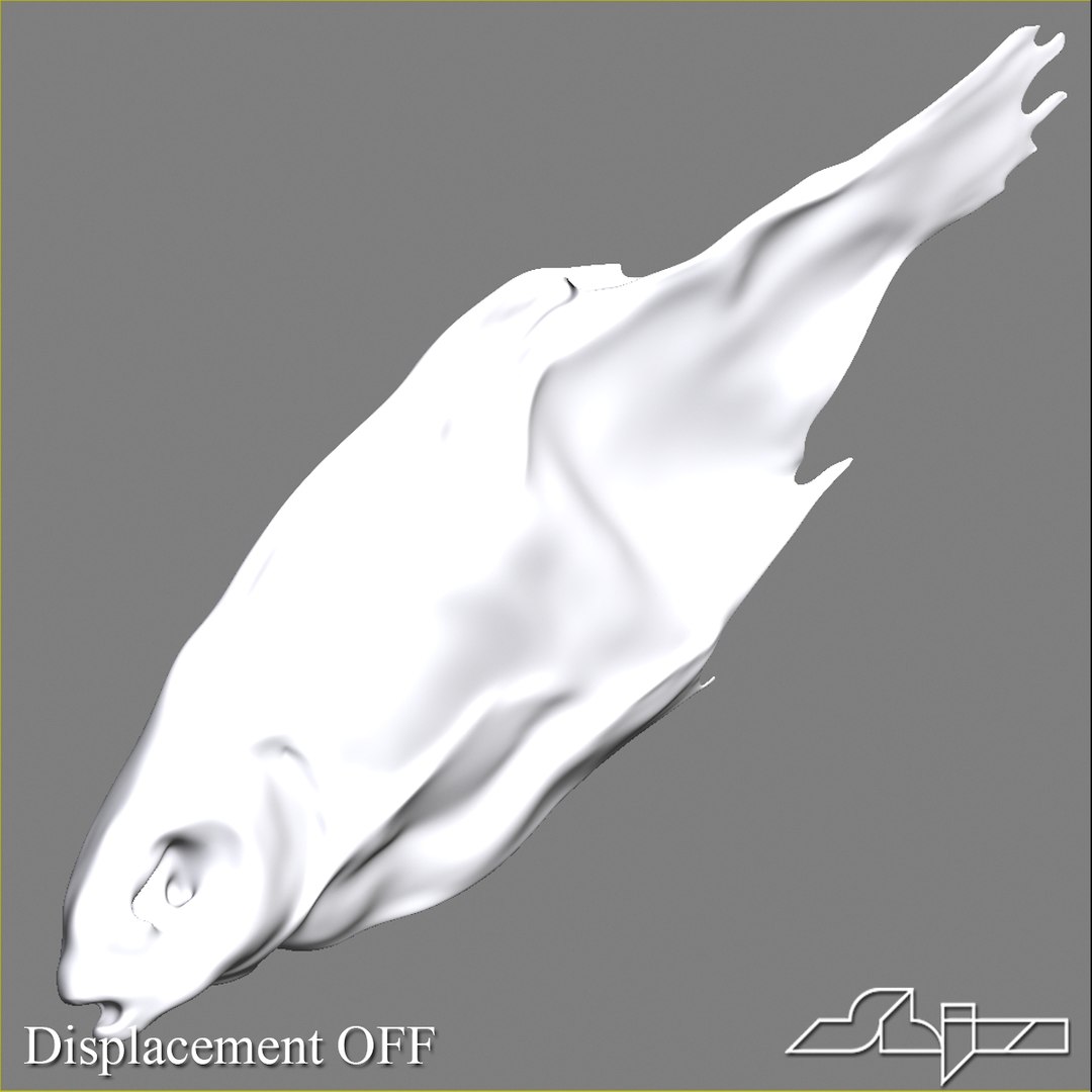 Dry Fish 2 3d Model