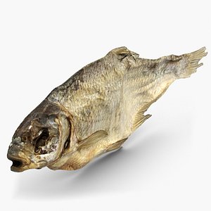 Dry Fish 2