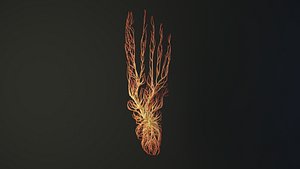 Human feet unrolling growing animation