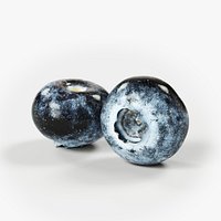 POLYPASTA - Blueberry 01