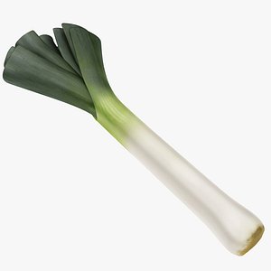leek realistic 3D model