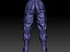 Combat Pants