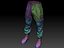 Combat Pants