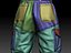 Combat Pants