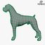 Boxer Low Poly