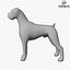 Boxer Low Poly