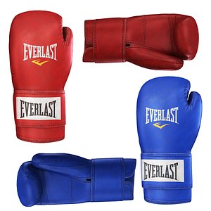 3D Boxing Gloves Red and Blue model