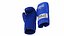 Luvas de Boxe Vermelhas e Azuis