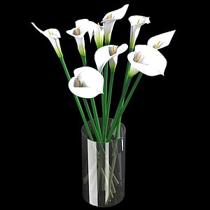 white calla lilies 3d model