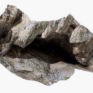 Mountain Cave 3D Scanned stemcell