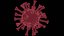 3D virus disease -