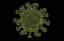 3D virus disease -