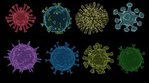 3D virus disease -