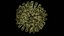 3D virus disease -