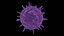 3D virus disease -