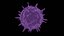 3D virus disease -