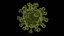 3D virus disease -