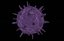 3D virus disease -