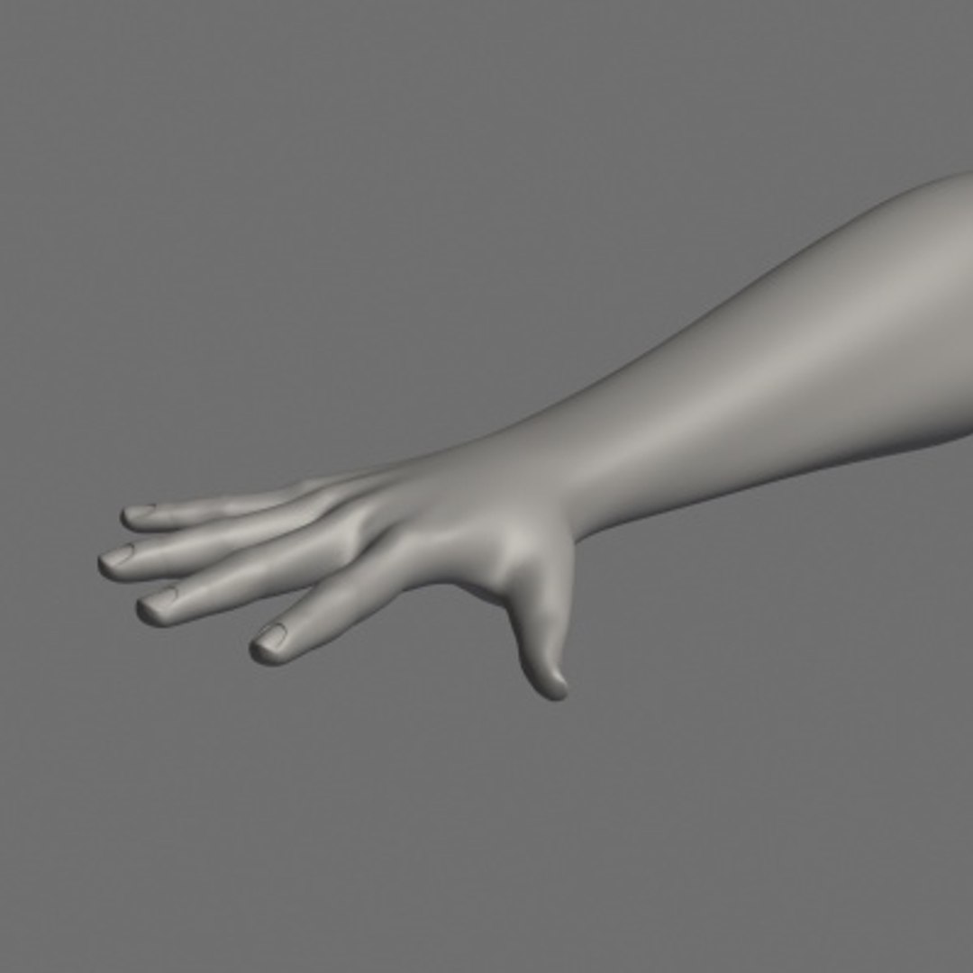 Male Anatomy 3d Model