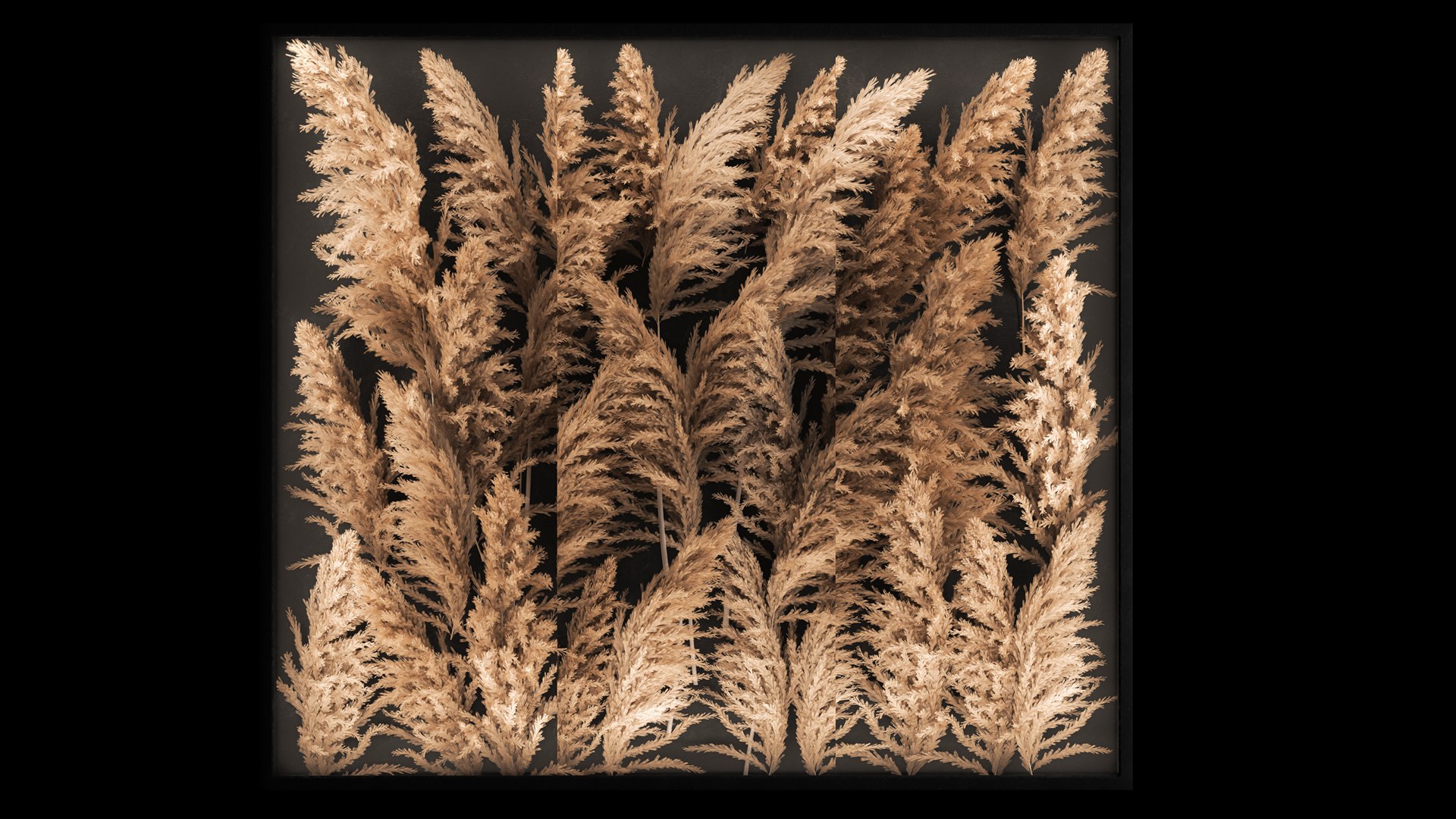 modelo 3d Decorating A Wall Of Dry Reeds For The Interior 258 ...