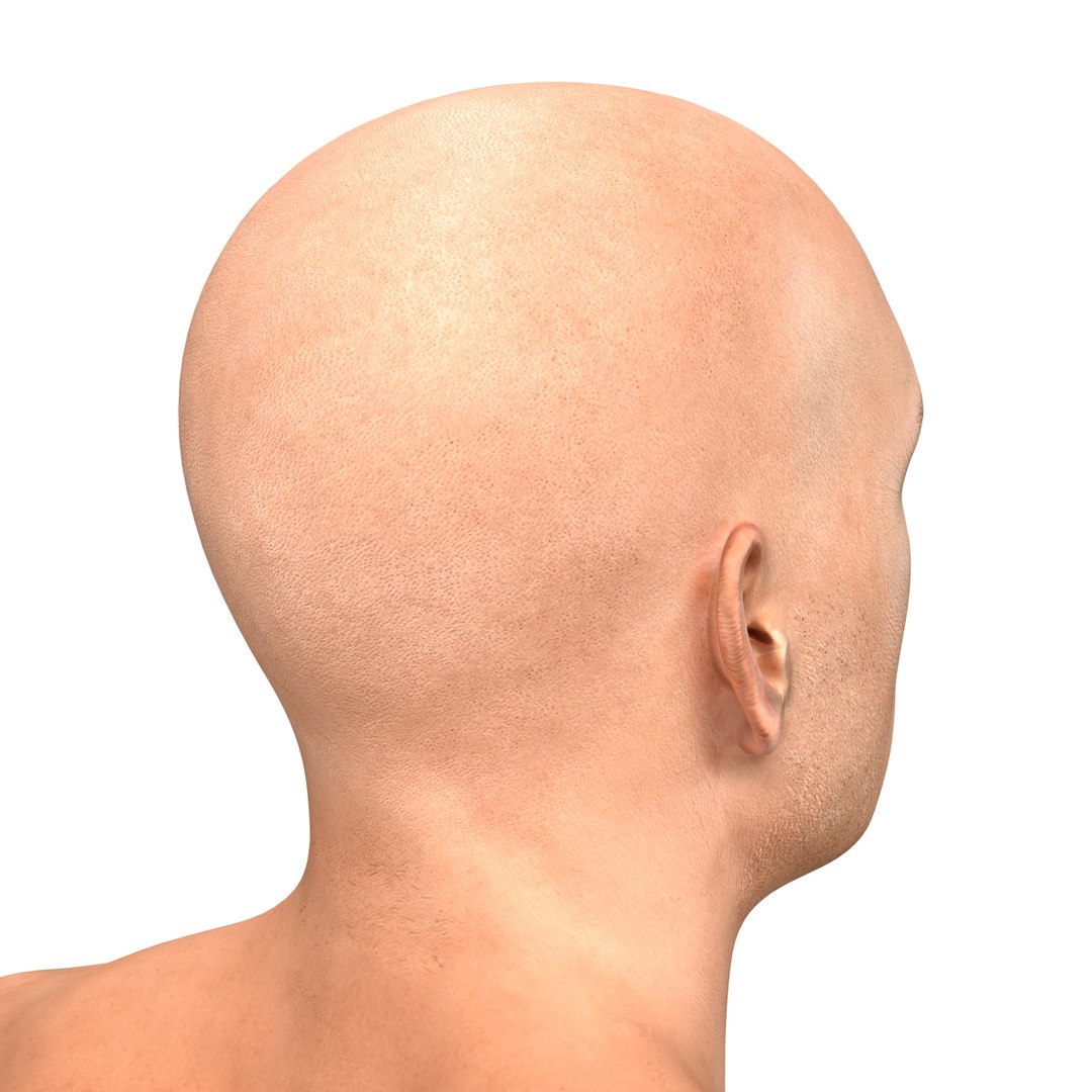 c4d boxer man https://p.turbosquid.com/ts-thumb/Cq/1f9wDX/TJgCBpZC/boxermanvray3dmodel52/jpg/1468062237/1920x1080/fit_q87/a896cdf0d11f8d367ddcd397be08db4767642c13/boxermanvray3dmodel52.jpg