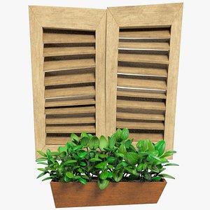 Stylized Window Shutters with Flower Pot