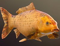 Golden Carp Koi PBR Game Ready