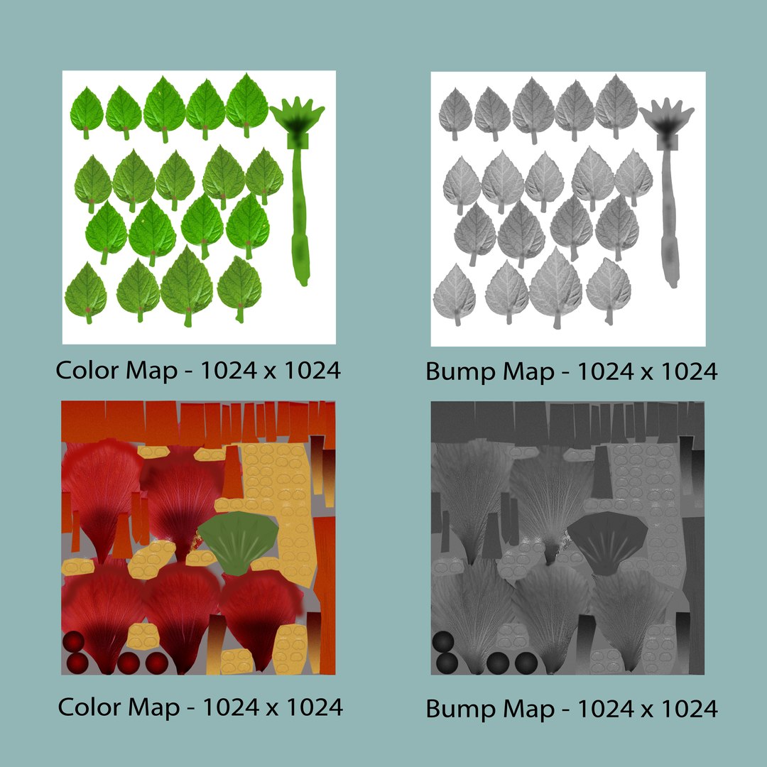 3d hibiscus flowering plants