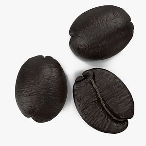 Roasted French Coffee Bean 3D Model