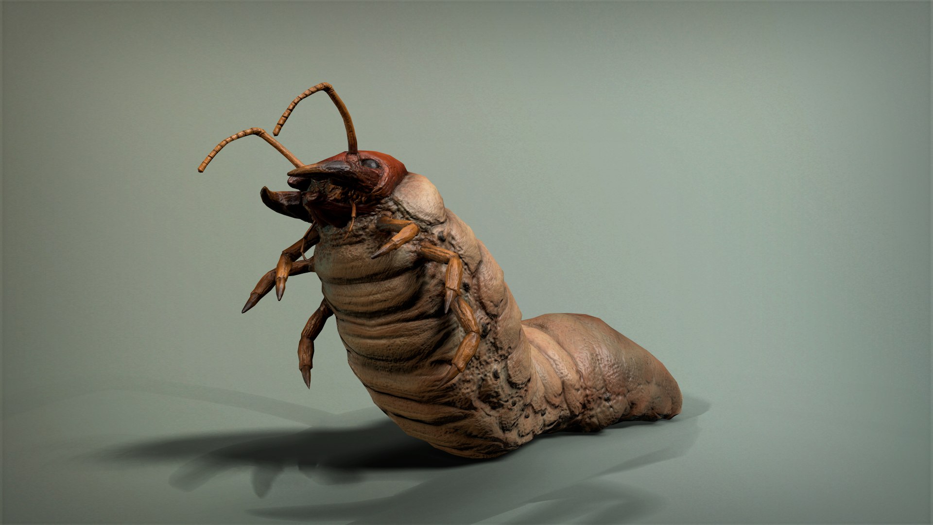3D Model Insect Larva - TurboSquid 1699348