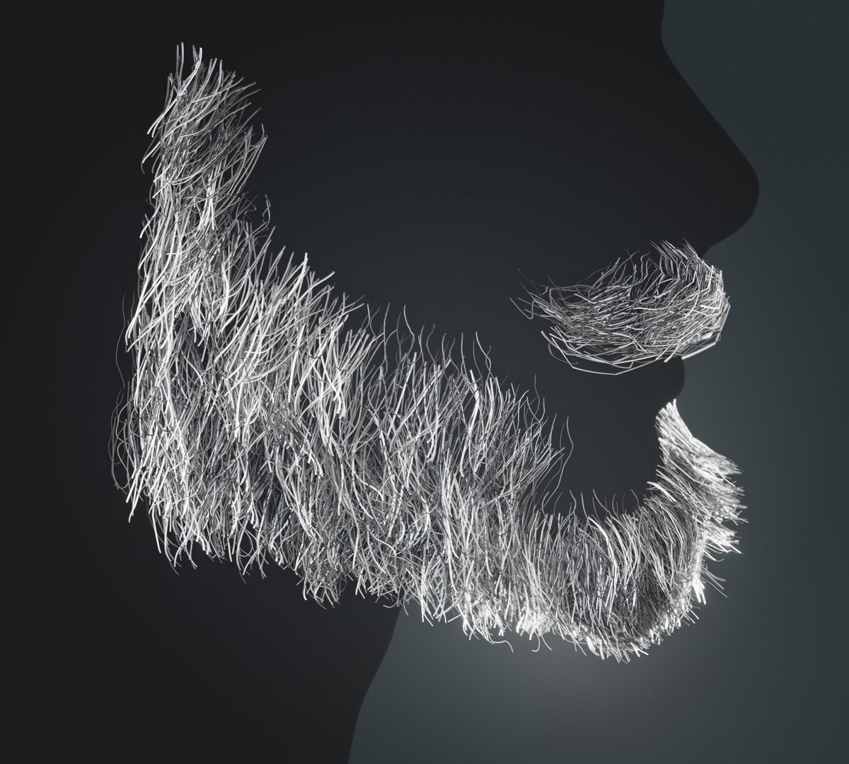 Beard RealTime 7 Version 1 3D Model - TurboSquid 1892344