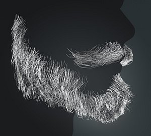 Beard RealTime 7 Version 1 3D model