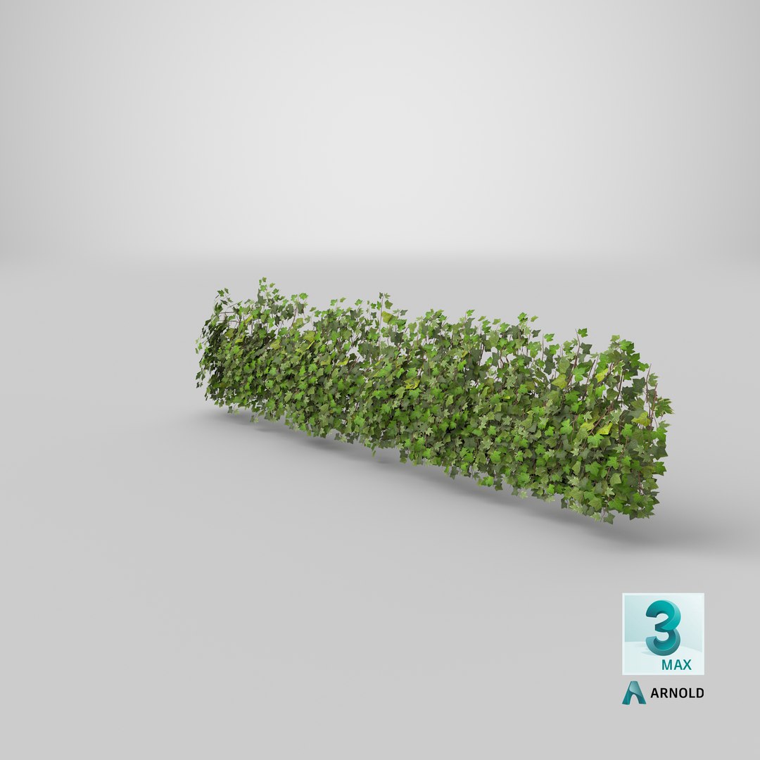 ivy patch 5x1 5m model https://p.turbosquid.com/ts-thumb/Cq/ZiimPm/1bSzM5bz/stemcell_max_arnold_render/png/1603135709/1920x1080/fit_q87/f59b7ff95a8714b827d753c58edcc781da858520/stemcell_max_arnold_render.jpg