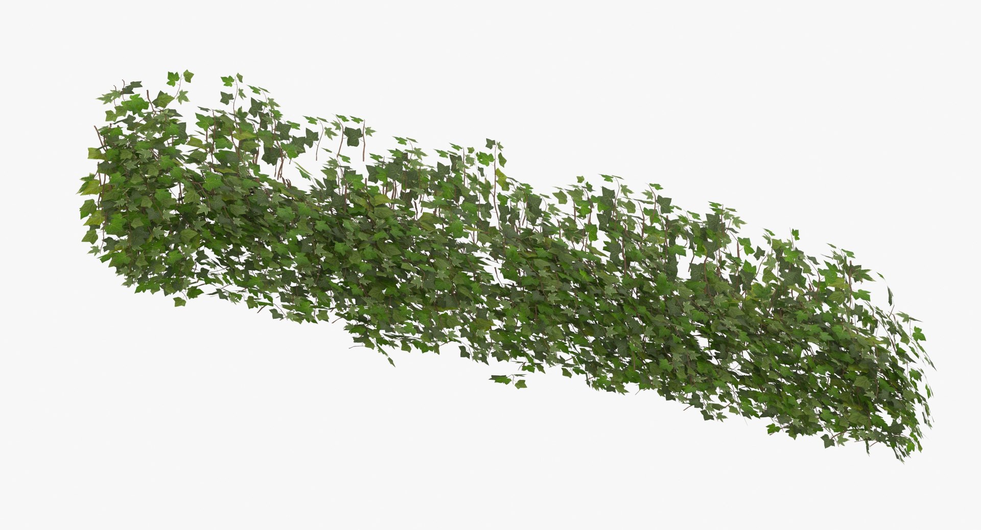 ivy patch 5x1 5m model https://p.turbosquid.com/ts-thumb/Cq/ZiimPm/1kGsJm1W/ivy_patch_5x1_5_thumbnail_0007/jpg/1600261654/1920x1080/fit_q87/55bf9a50d7cbdd49a29cce5f615b32a8ff3483ff/ivy_patch_5x1_5_thumbnail_0007.jpg
