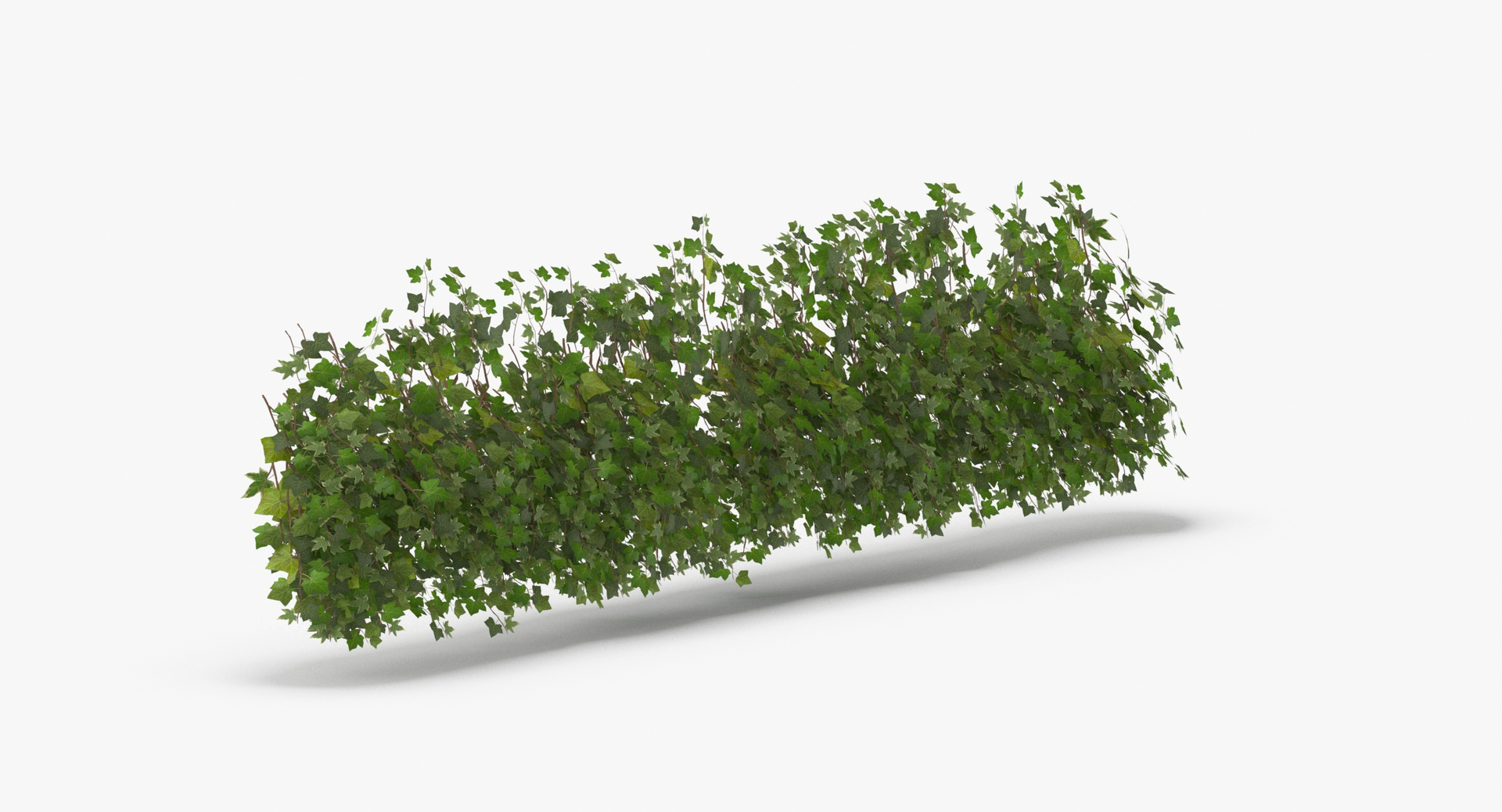 ivy patch 5x1 5m model https://p.turbosquid.com/ts-thumb/Cq/ZiimPm/I10RDaZ3/0000/jpg/1600261722/1920x1080/turn_fit_q99/4517924f78a0bb1069e7d90e8b335290178623c2/0000-1.jpg
