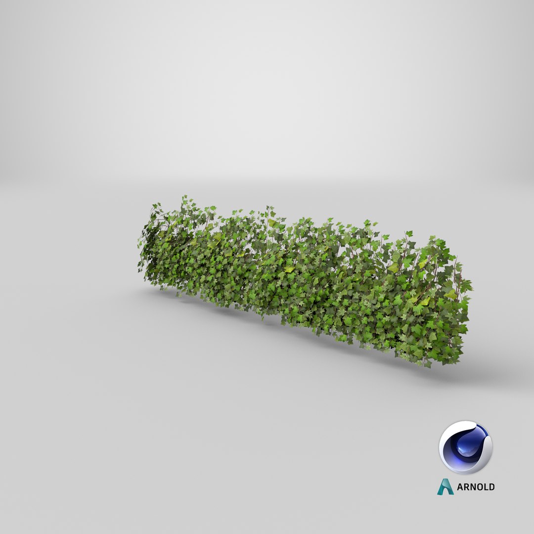 ivy patch 5x1 5m model https://p.turbosquid.com/ts-thumb/Cq/ZiimPm/ZUbJVWp7/stemcell_cinema_4d_arnold_render/png/1603135706/1920x1080/fit_q87/9a7cef10bcb5740ee2421b3c895bf49d3be0a1c3/stemcell_cinema_4d_arnold_render.jpg