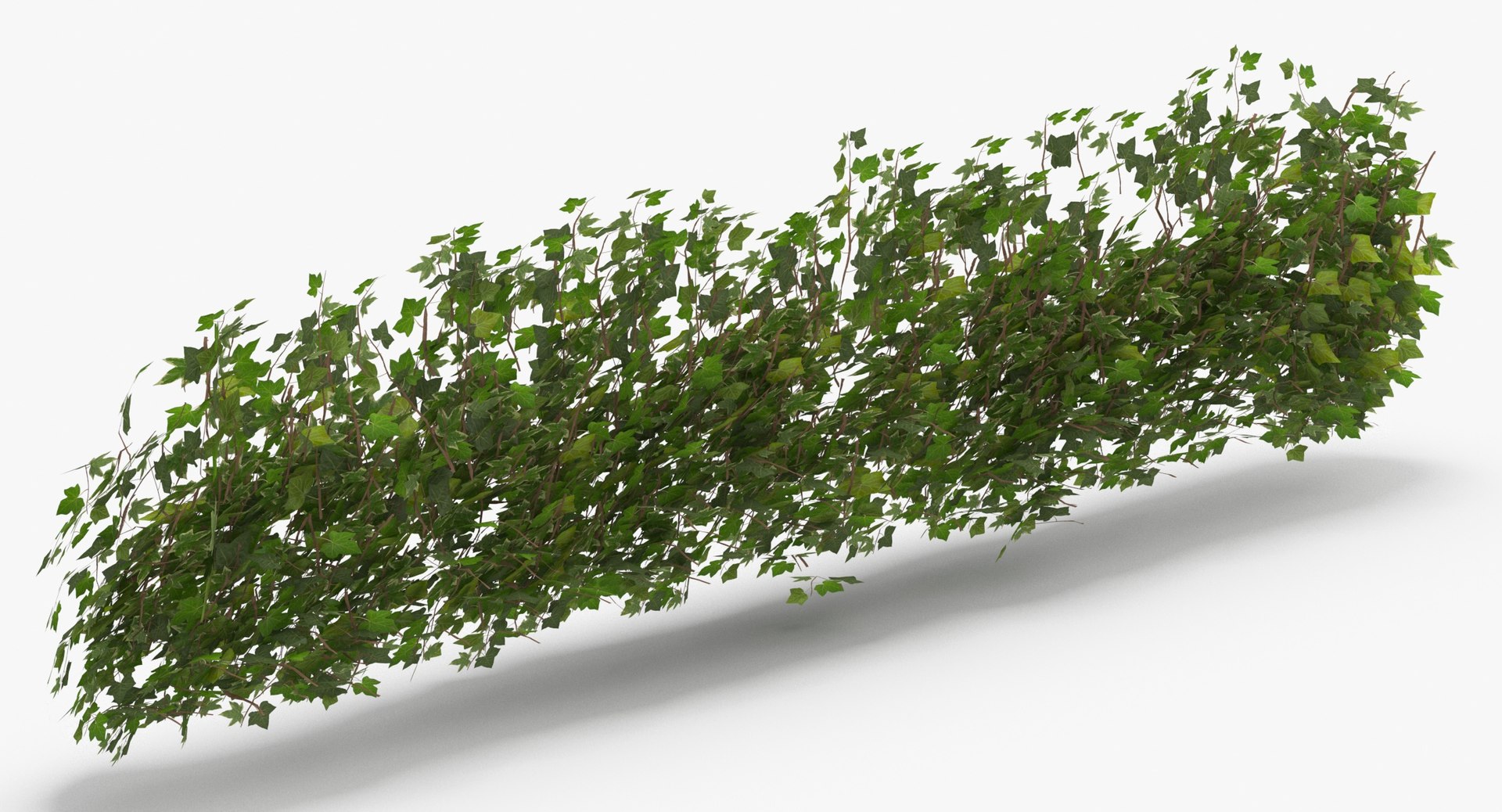 ivy patch 5x1 5m model https://p.turbosquid.com/ts-thumb/Cq/ZiimPm/eciRo5w8/ivy_patch_5x1_5_thumbnail_0004/jpg/1600261654/1920x1080/fit_q87/75c0eca9b363a8baca0102419c457757d4473db5/ivy_patch_5x1_5_thumbnail_0004.jpg