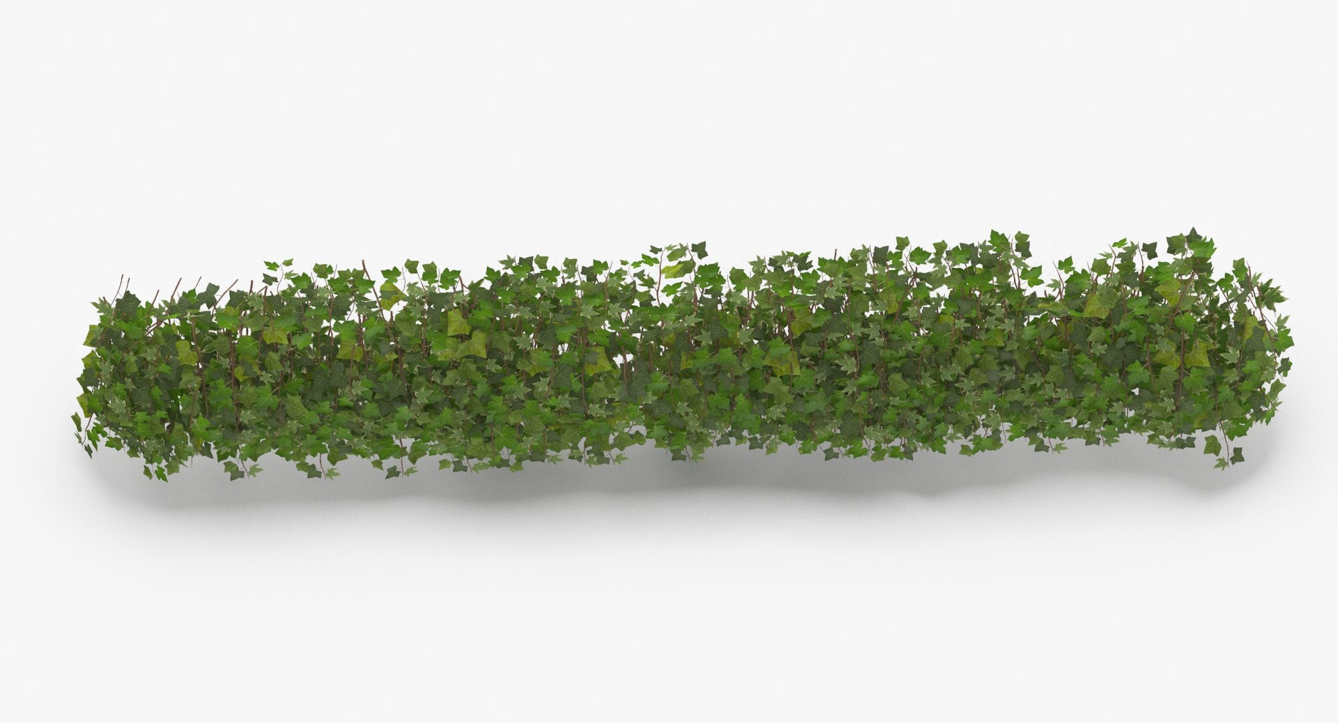 ivy patch 5x1 5m model https://p.turbosquid.com/ts-thumb/Cq/ZiimPm/n6HxZIig/ivy_patch_5x1_5_thumbnail_0006/jpg/1600261654/1920x1080/fit_q87/fdc33b55909faebc4a633162ddb89a96f0dfa00c/ivy_patch_5x1_5_thumbnail_0006.jpg