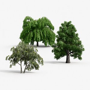 Realistic PBR North American Trees