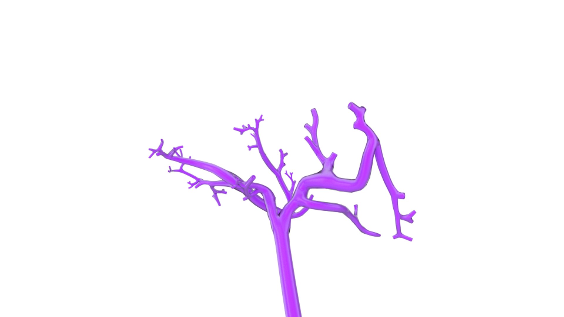 3d human liver https://p.turbosquid.com/ts-thumb/Cq/uTgh3S/9aVLbxsr/v._porta_bottom_shr/png/1452348295/1920x1080/fit_q87/aa8890daef502915aab3821db48e2c43ccbc37a6/v._porta_bottom_shr.jpg