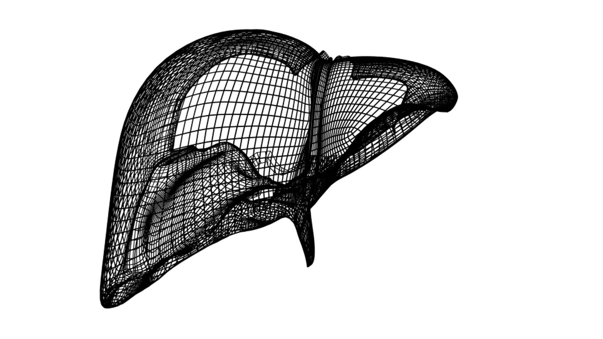 3d human liver https://p.turbosquid.com/ts-thumb/Cq/uTgh3S/9gpF4yia/front_peritoneum/png/1452348039/1920x1080/fit_q87/1e04c3adfad0ec96c5066b764c8e27c8092ef945/front_peritoneum.jpg