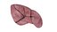 Human liver