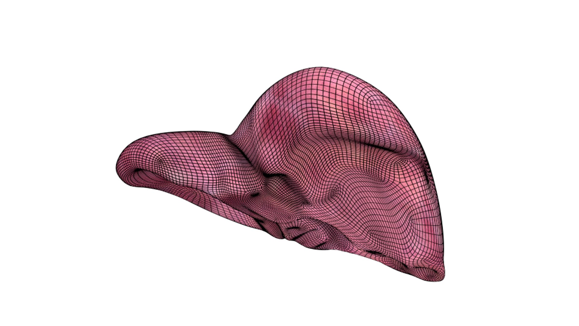 3d human liver https://p.turbosquid.com/ts-thumb/Cq/uTgh3S/GcBPXbuz/back_wire_x2/png/1452348038/1920x1080/fit_q87/d71d82312cae15195910802bc54e42c4b66056c3/back_wire_x2.jpg