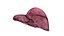 Human liver
