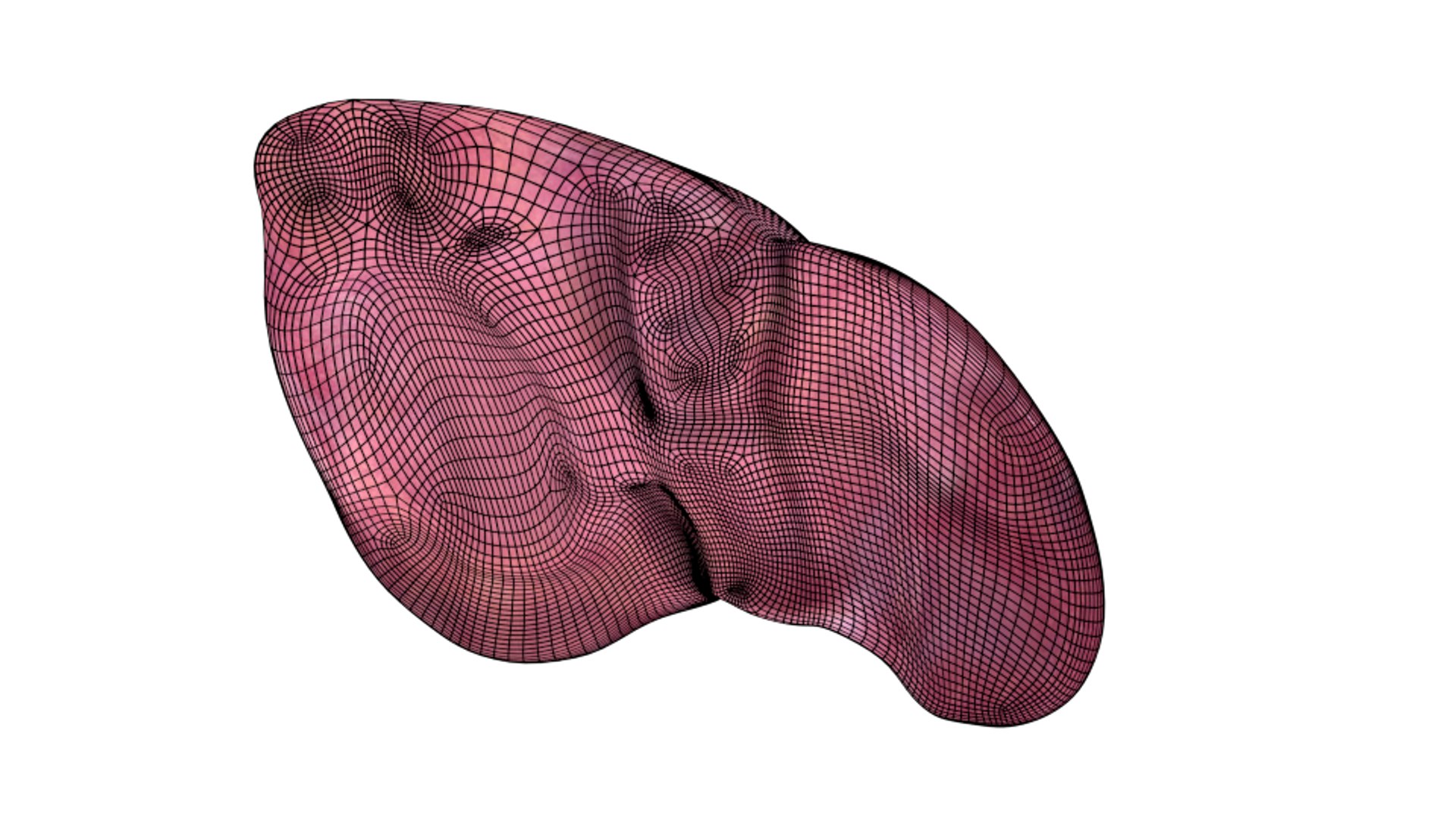 3d human liver https://p.turbosquid.com/ts-thumb/Cq/uTgh3S/NnSZjRsU/bottom_wire_x2/png/1452348039/1920x1080/fit_q87/415739bd70ff5be46196d8bbc1185b5f4eda2fcc/bottom_wire_x2.jpg