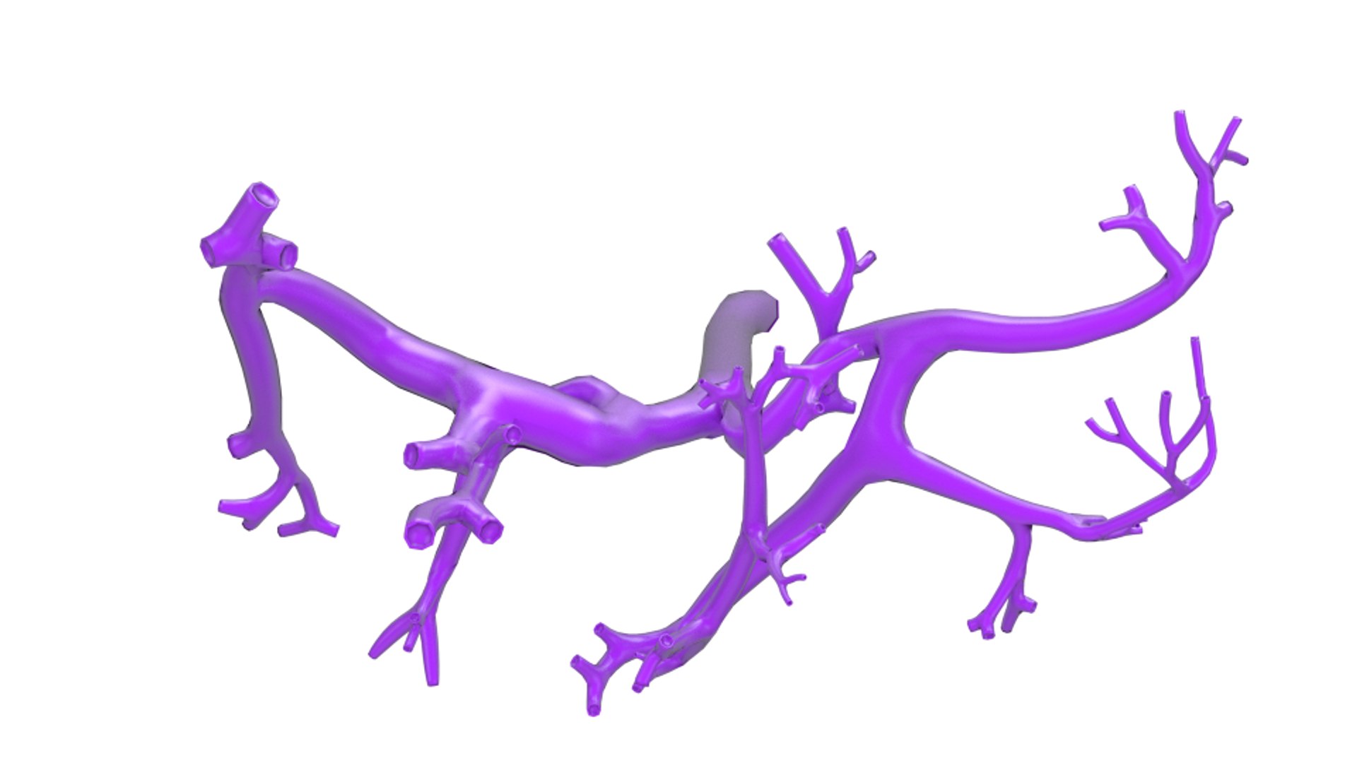 3d human liver https://p.turbosquid.com/ts-thumb/Cq/uTgh3S/s1fmbHf5/v._porta_top_shr/png/1452348295/1920x1080/fit_q87/e37e168831b21d5e1c528eab6844891ce0916119/v._porta_top_shr.jpg
