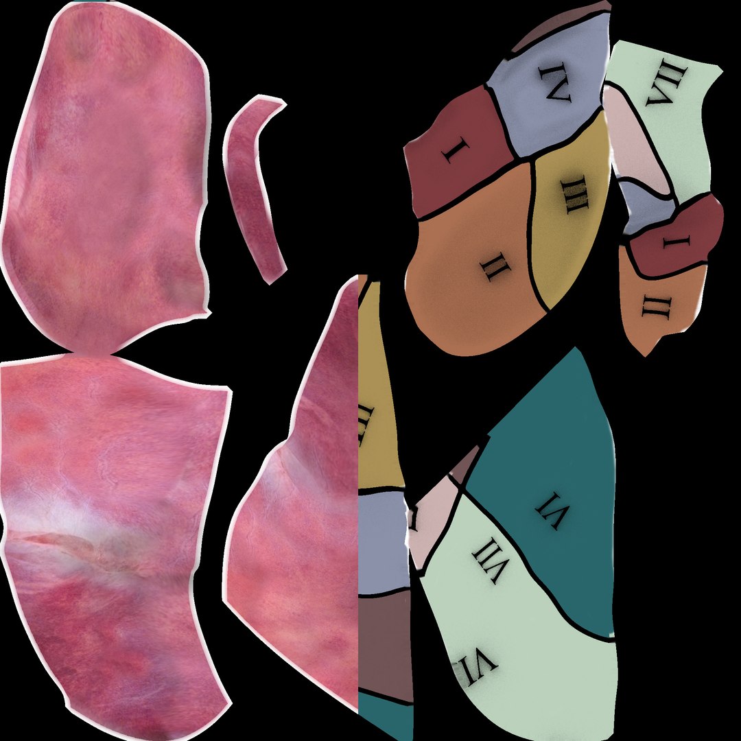 3d human liver https://p.turbosquid.com/ts-thumb/Cq/uTgh3S/yFoRIp2x/liver_solid_natural/jpg/1452349474/1920x1080/fit_q87/0138dd6d96c91ef21122f7077e850850421e60be/liver_solid_natural.jpg