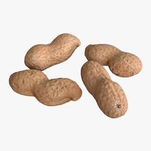 photogrammetry unshelled peanuts 3D model